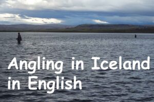 Angling inn Iceland