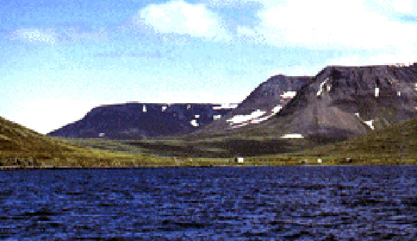 Grunnavík