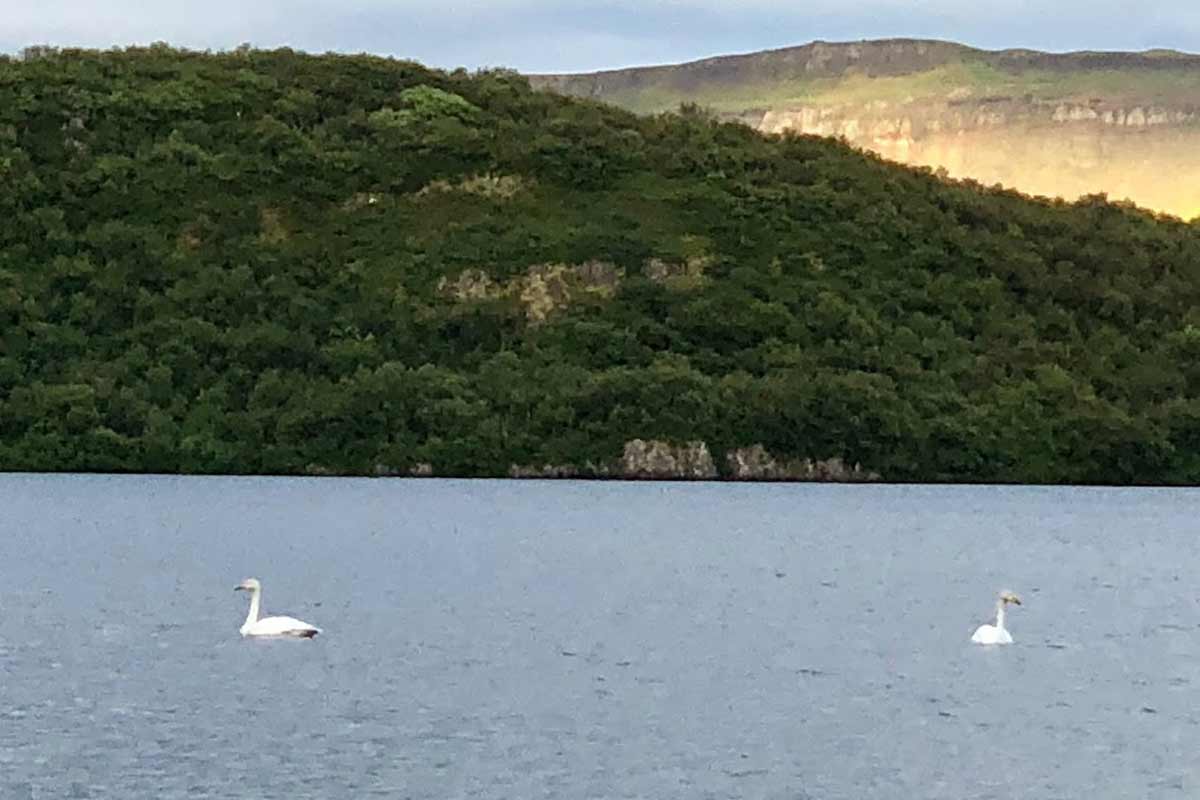 Hreðavatn NAT ferðavísir