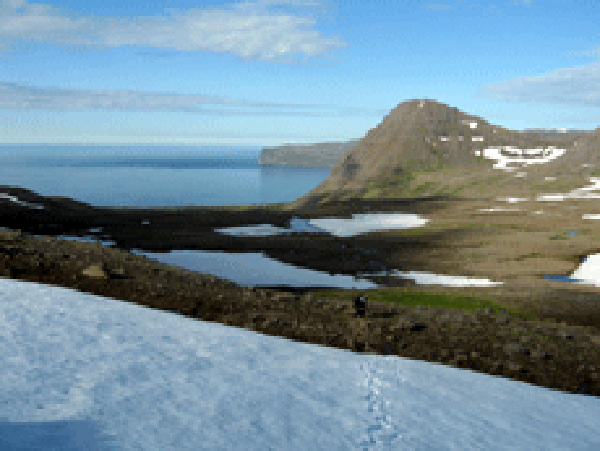 Kjaransvík