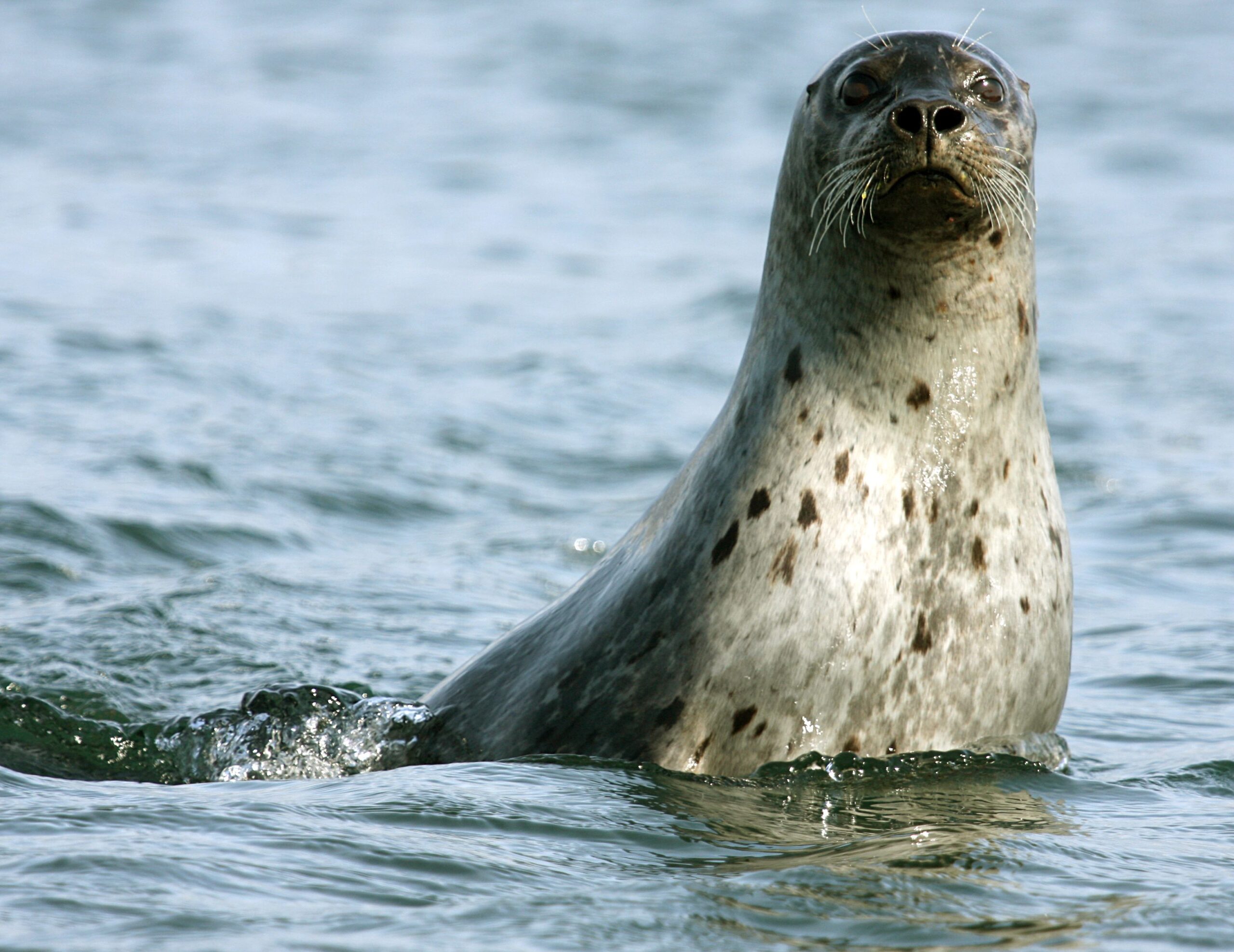 Http www icelandonline is ferdaheimurisl sverge htm Http www icelandonline is ferdaheimurisl sverge htm